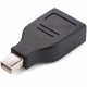 Adaptador Conversor Mini DisplayPort a DisplayPort StarTech