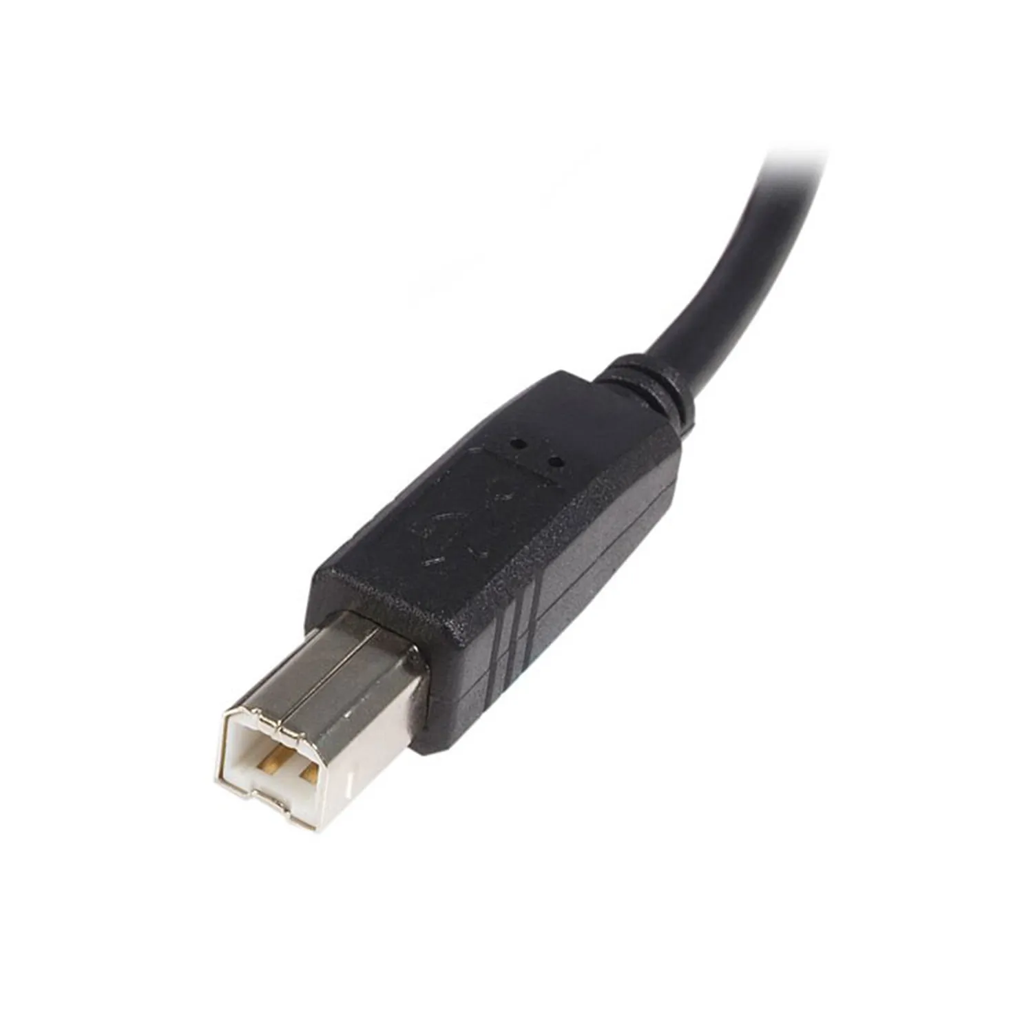 Cable USB para Impresora USB A a USB B de 3mts StarTech - Imagen 3
