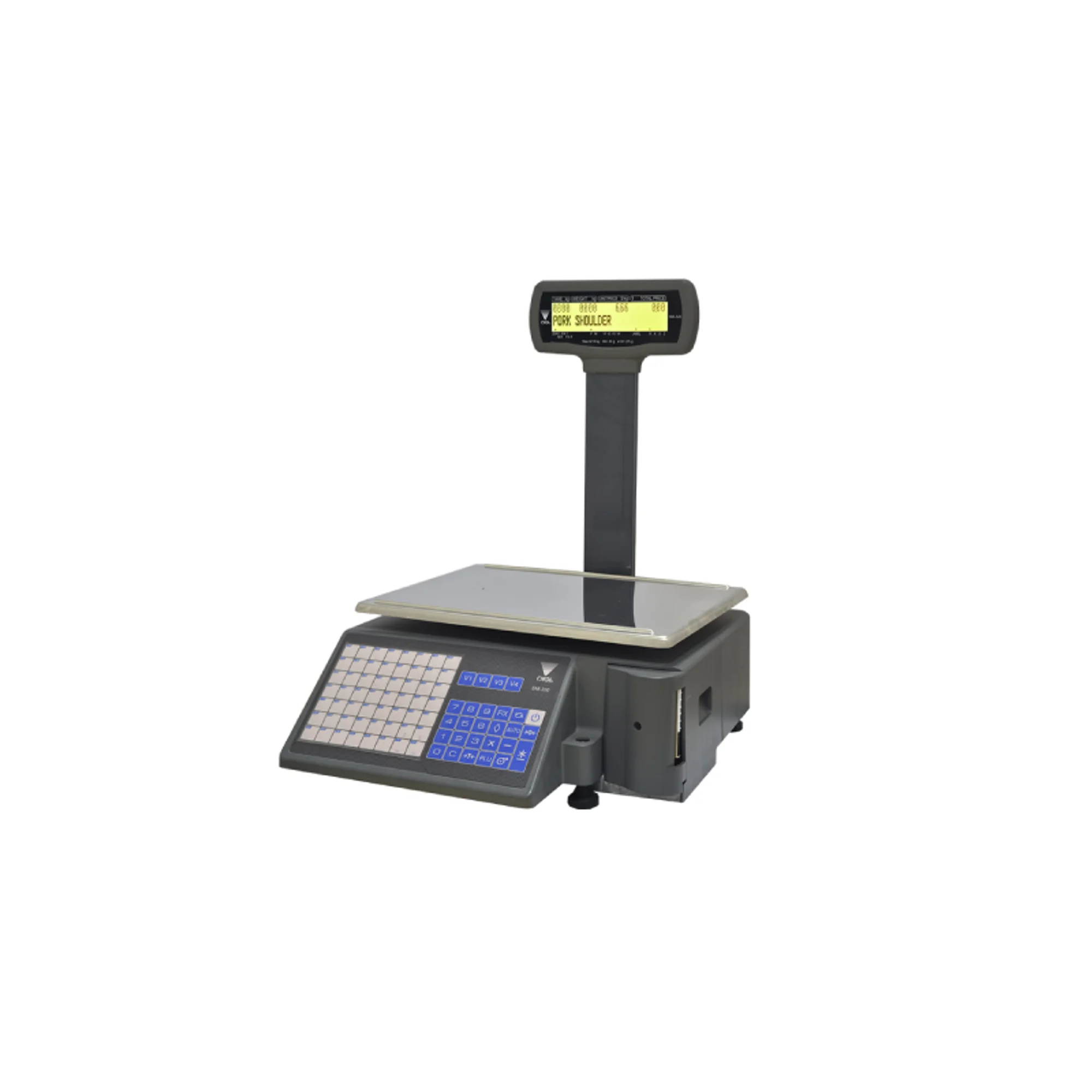 Balanza Tipificadora DIGI SM-320P SM-320P modelo con visor aereo polo tipo torre